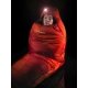Sac de couchage Snugpak Chrysalis 2