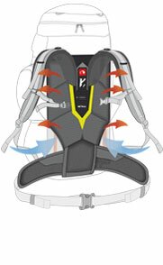 system Y1 tasmanian tiger